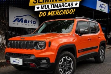 RENEGADE